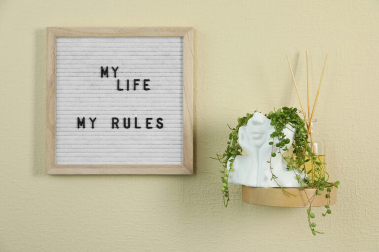 Letter board with phrase My Life My Rules, reed diffuser and plant on beige wall